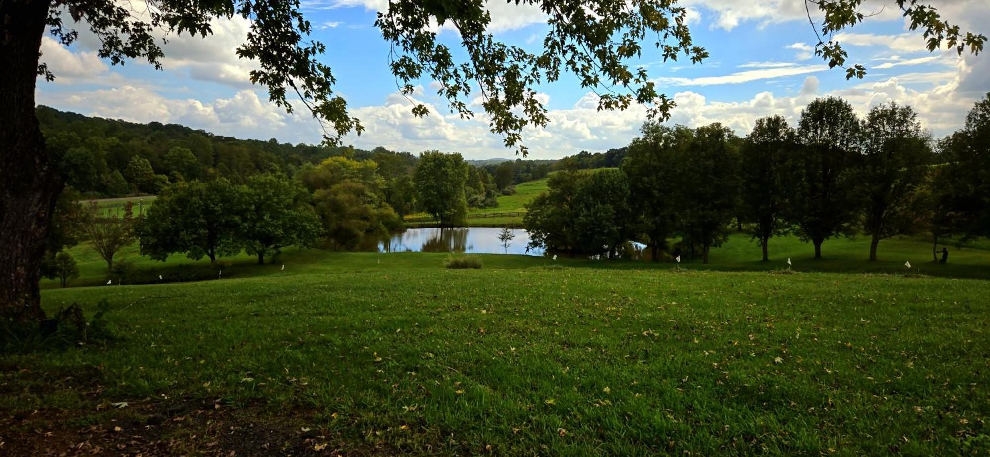 West Park Gardens Hotel Culpeper Bilik gambar